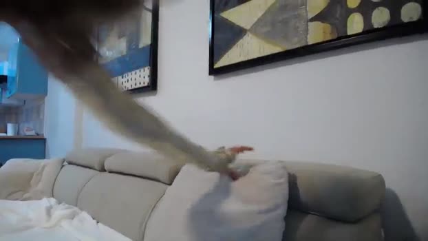 Klarita_ MyFreeCams Female 02-04-2025