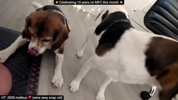 Adorable10yrs MyFreeCams Female 03-04-2025