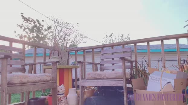 NaomiDee MyFreeCams Female 03-04-2025