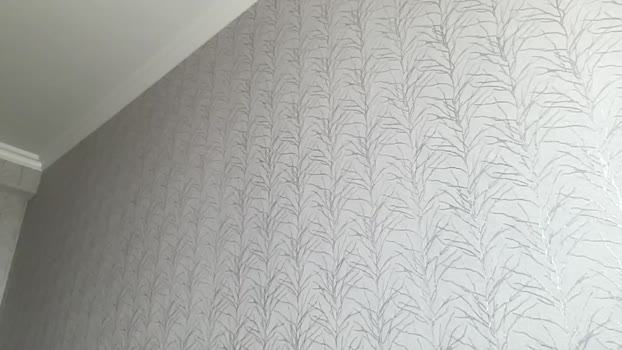 wonderland_stia Chaturbate Female 08-04-2025