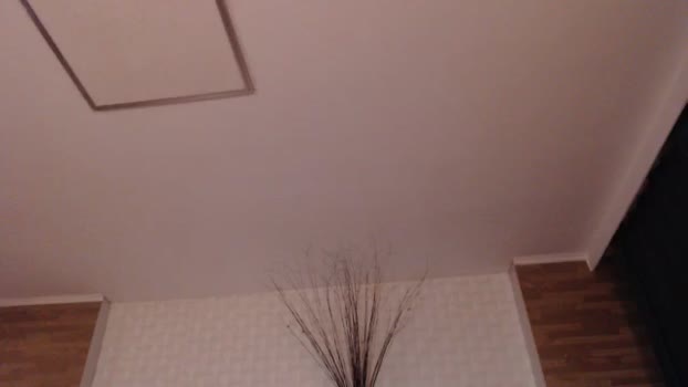 HotRebbecca MyFreeCams Female 08-04-2025