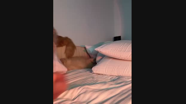 curchez_ StripChat Female 10-04-2025