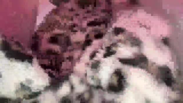 KissMyTitsPls MyFreeCams Female 11-04-2025