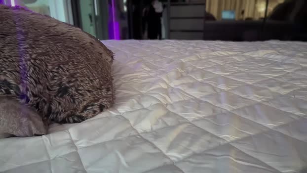 UGLYGIRL_ MyFreeCams Female 15-04-2025