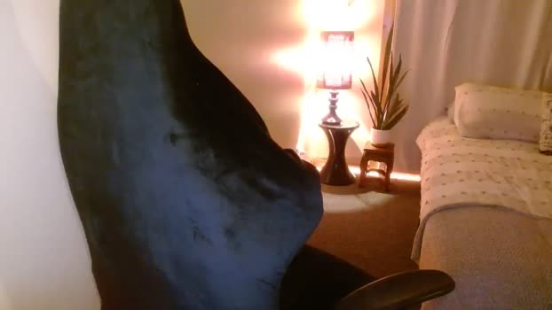 honeytits_ MyFreeCams Female 21-04-2025