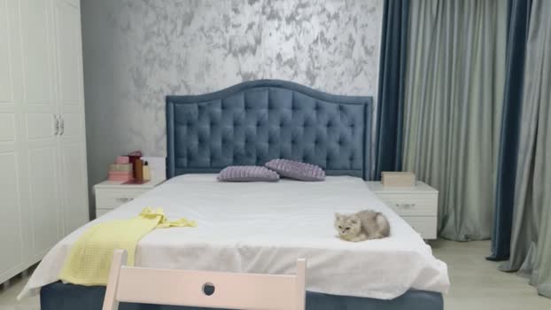 Doll_lexi MyFreeCams Female 22-04-2025