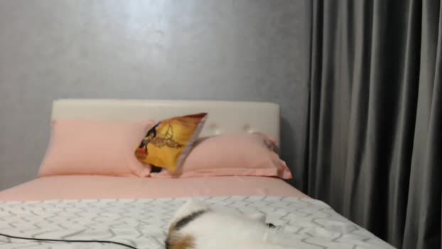 Aahh_Emilia MyFreeCams Female 22-04-2025