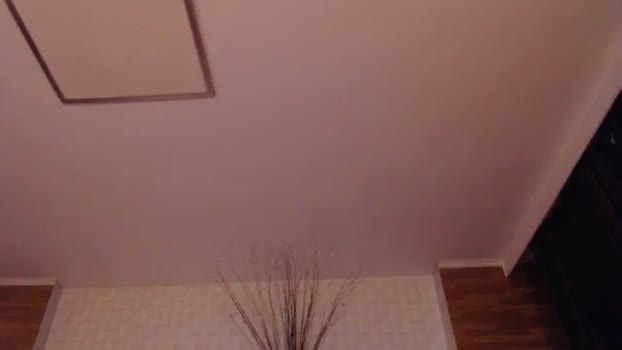 HotRebbecca MyFreeCams Female 24-04-2025