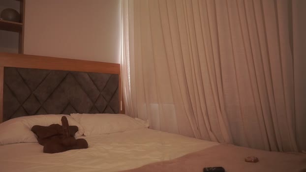 letiziafulkers1 Chaturbate Female 24-04-2025