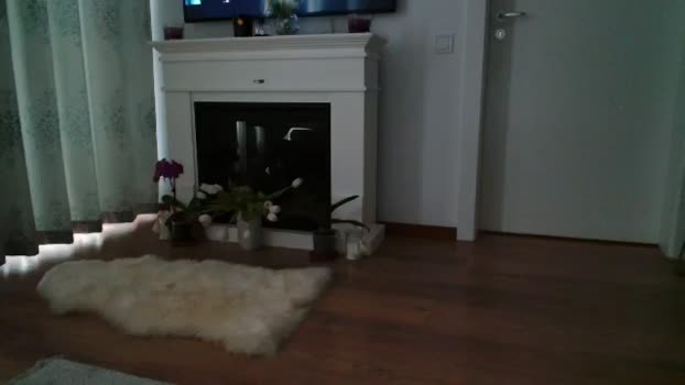 SamyraX MyFreeCams Female 26-04-2025