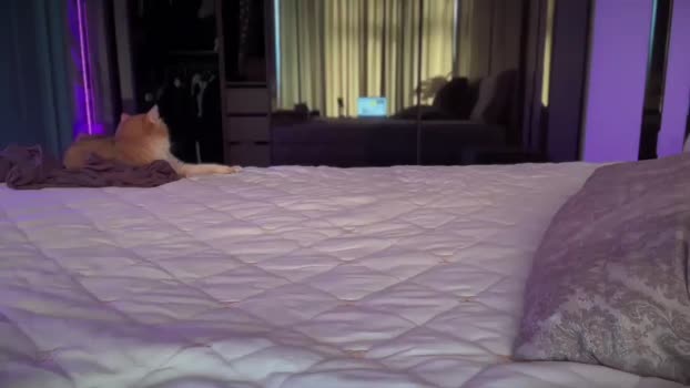 UGLYGIRL_ MyFreeCams Female 28-04-2025