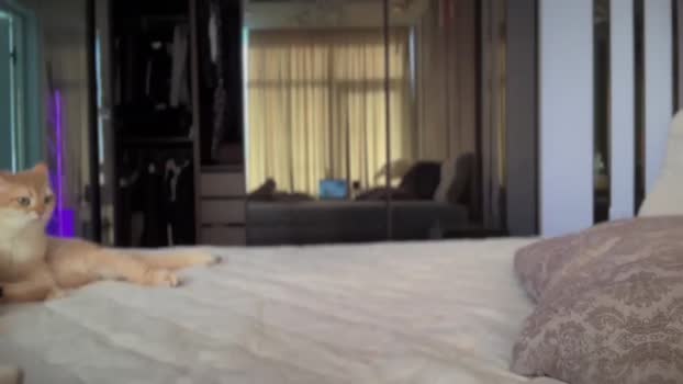 UGLYGIRL_ MyFreeCams Female 28-04-2025