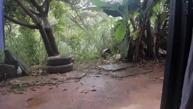 venusandzeus Chaturbate Couple 28-04-2025