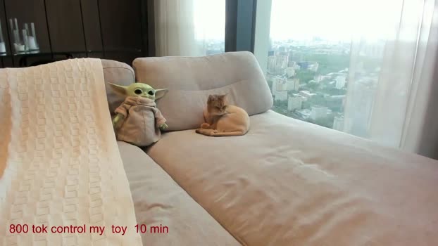 CarolinaHerer MyFreeCams Female 30-04-2025