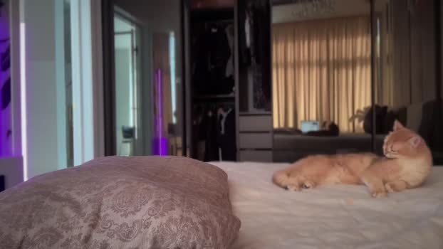 UGLYGIRL_ MyFreeCams Female 30-04-2025