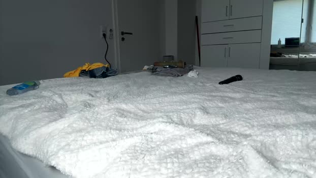 hannah_nvrst Chaturbate Couple 29-04-2025