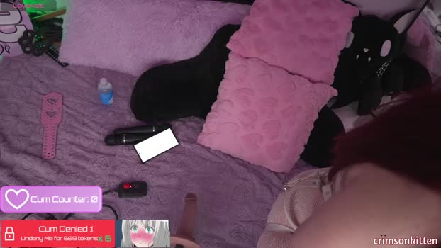 crimsonkitten Chaturbate Female 03-05-2025