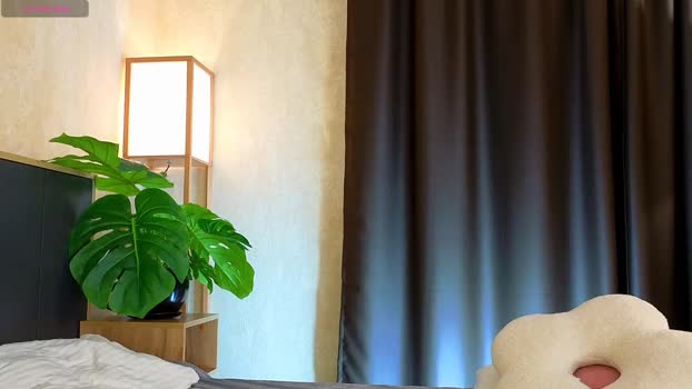 riskyteasse Chaturbate Female 03-05-2025