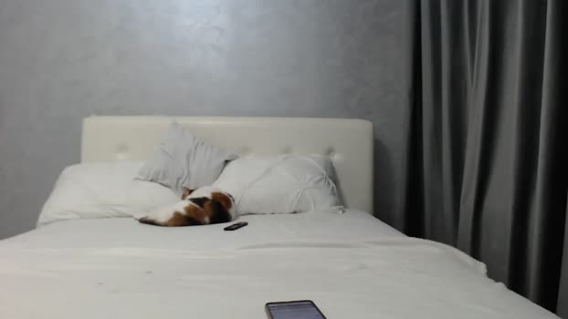 Aahh_Emilia MyFreeCams Female 04-05-2025