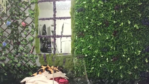 taste_of_reea Chaturbate Female 09-05-2025