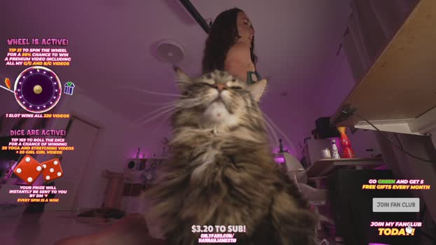 hannahjames710 Chaturbate Female 11-05-2025