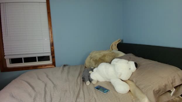 Ava____ MyFreeCams Female 13-05-2025