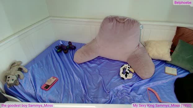 Belphoebe MyFreeCams Female 14-05-2025