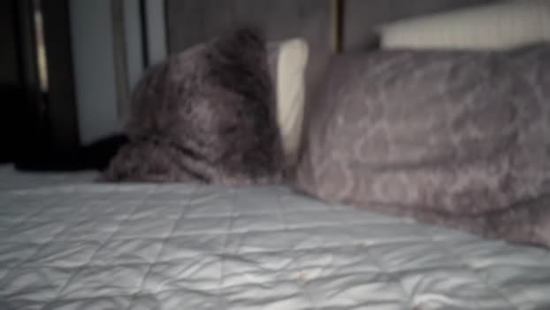 UGLYGIRL_ MyFreeCams Female 13-05-2025