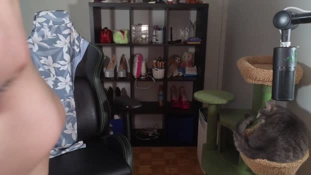 alexa_dream Chaturbate Female 09-06-2025