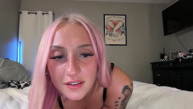 stellacorbet