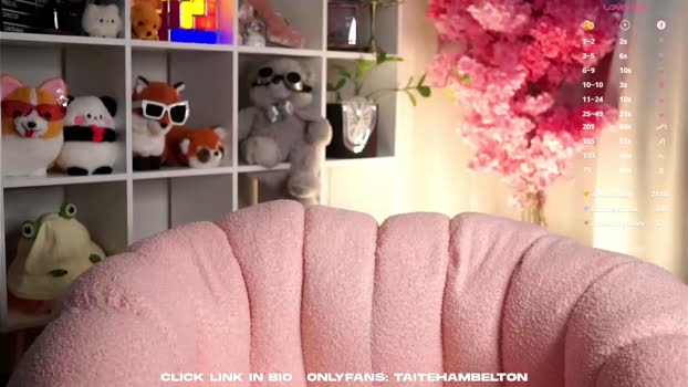 taitehambelton Chaturbate Female 10-06-2025