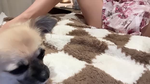 mishapalmer Chaturbate Female 11-06-2025