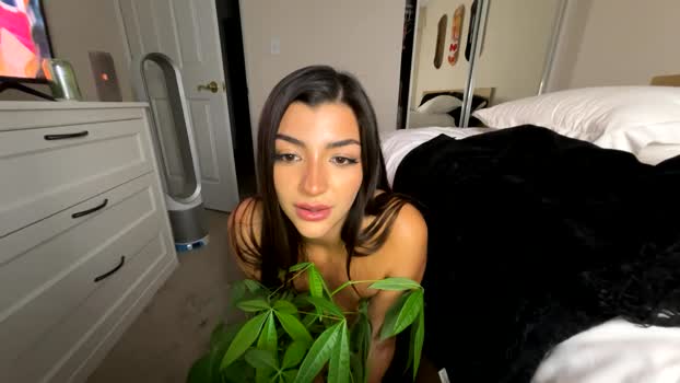 kaliblakexo