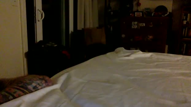 paigesixx_charlievicious