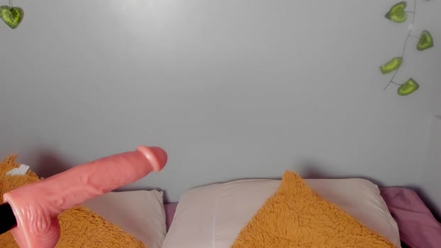 amy_vans_