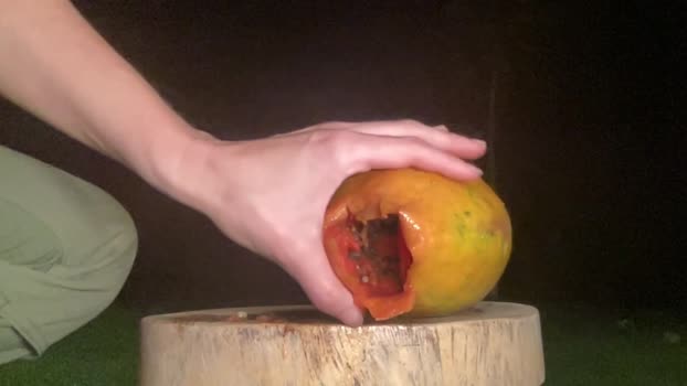 kaileeshy Chaturbate Female 02-07-2025