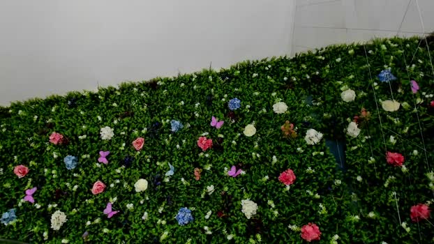 babyaylin Chaturbate Female 03-07-2025