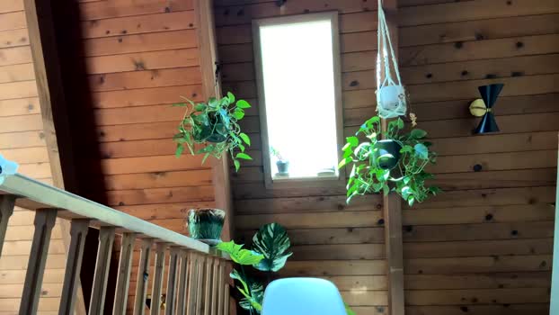 emersoncane Chaturbate Female 03-07-2025