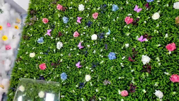 babyaylin Chaturbate Female 07-07-2025