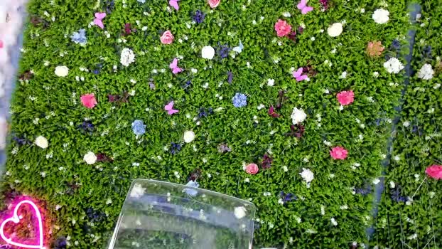 babyaylin Chaturbate Female 08-07-2025