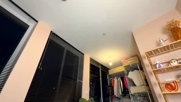 vixenp Chaturbate Female 08-07-2025