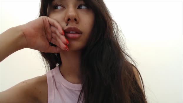 hollymodels
