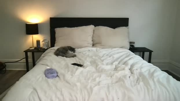 scarletterose_504259 Chaturbate Female 11-07-2025