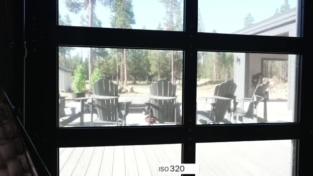 blondefoxsilverfox Chaturbate Couple 13-07-2025