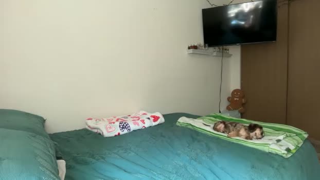 cami_calderon Chaturbate Female 13-07-2025