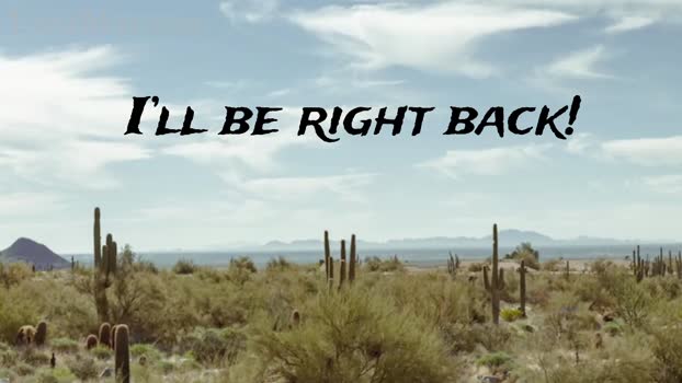 l_e_x_i Chaturbate Female 15-07-2025