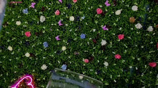 babyaylin Chaturbate Female 17-07-2025