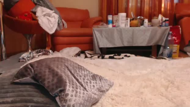 andrasweetie Chaturbate Couple 23-07-2025