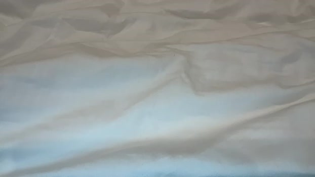 mswilderness420 Chaturbate Female 24-07-2025