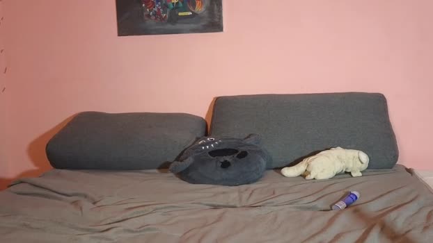 katusha008 Chaturbate Couple 25-07-2025